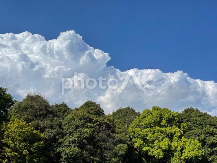 初夏の風景 自然,青,青空の写真素材