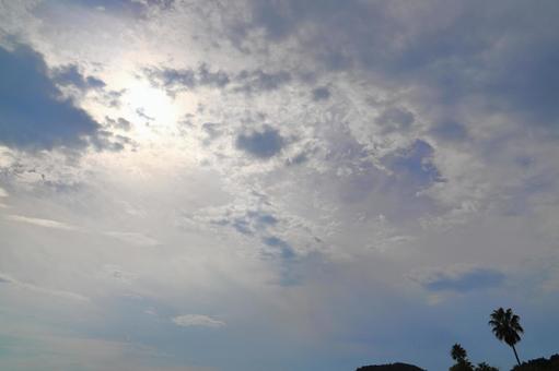 雲の多い空　太陽　樹木 空,雲,雲多いの写真素材
