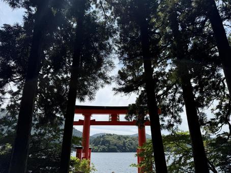 神社 神社の写真