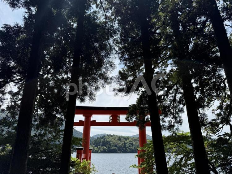神社 絶景,箱根,景色の写真素材
