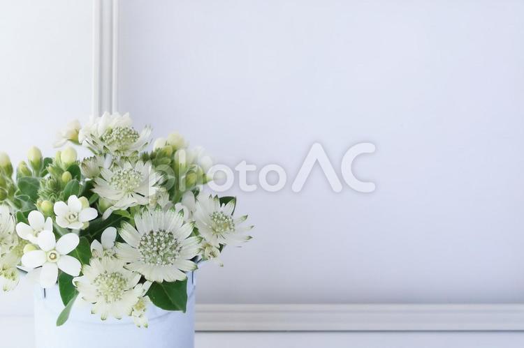 白い小さな花飾りのフレーム 花,背景,フレームの写真素材