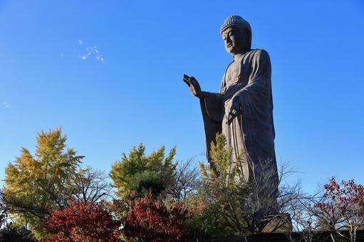 牛久大仏 仏像,青空,紅葉の写真素材