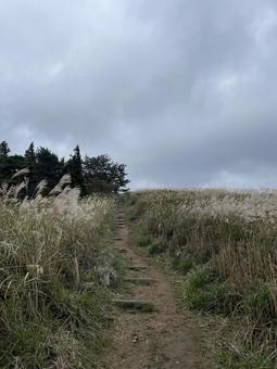 ススキの高原 秋,空,ススキの写真素材