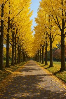 秋のイチョウ並木道 秋のイチョウ並木道の写真