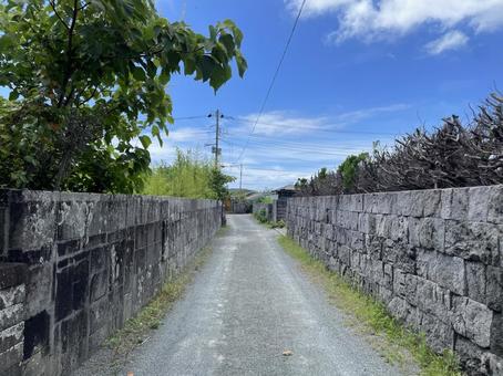 新島 砂んごいの道 新島 砂んごいの道の写真