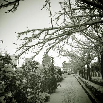 commute route commute routeの写真