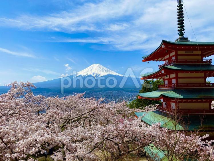 富士山と桜と五重塔 富士山,桜,五重塔の写真素材