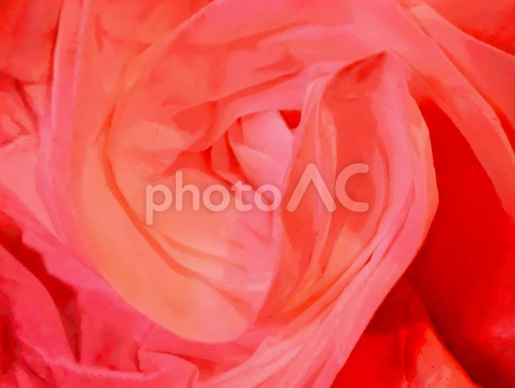 渦を巻いた赤い紙の高画質写真 壁紙,高画質,赤の写真素材