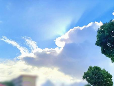 梅雨の晴れ間 梅雨の晴れ間の写真