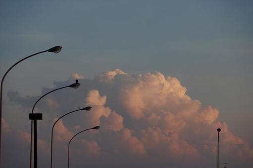 夕暮れの街灯と入道雲 夕暮れの街灯と入道雲の写真