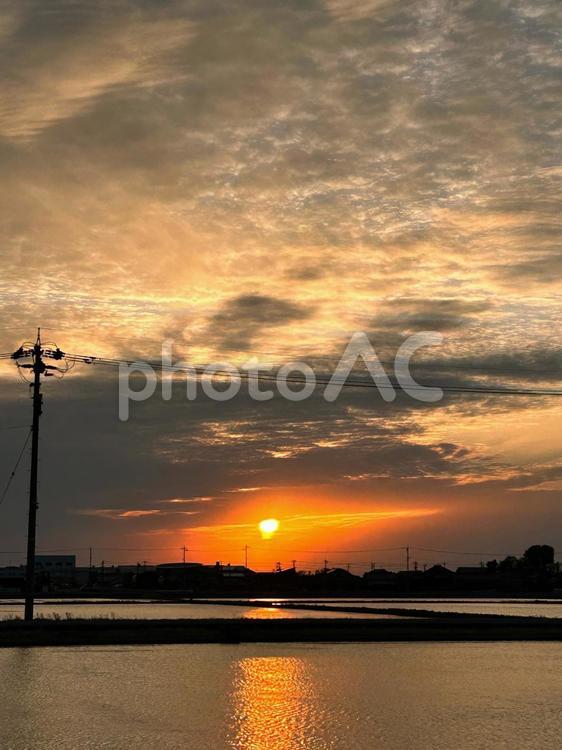 代搔きされた田んぼに映る夕日＿空 夕日,自然,オレンジの写真素材