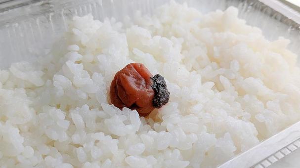 食卓の赤と白-03の写真