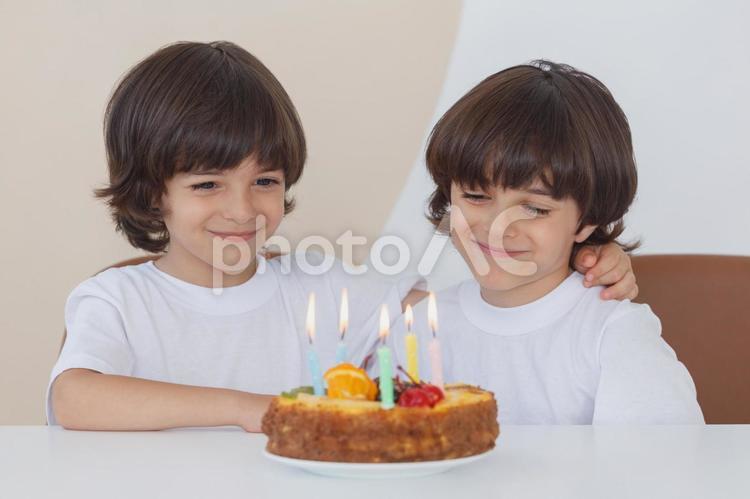 バースデーケーキと双子の男の子 双子,兄弟,男の子の写真素材