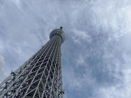 曇り空と東京スカイツリー スカイツリー,東京スカイツリー,東京の写真素材