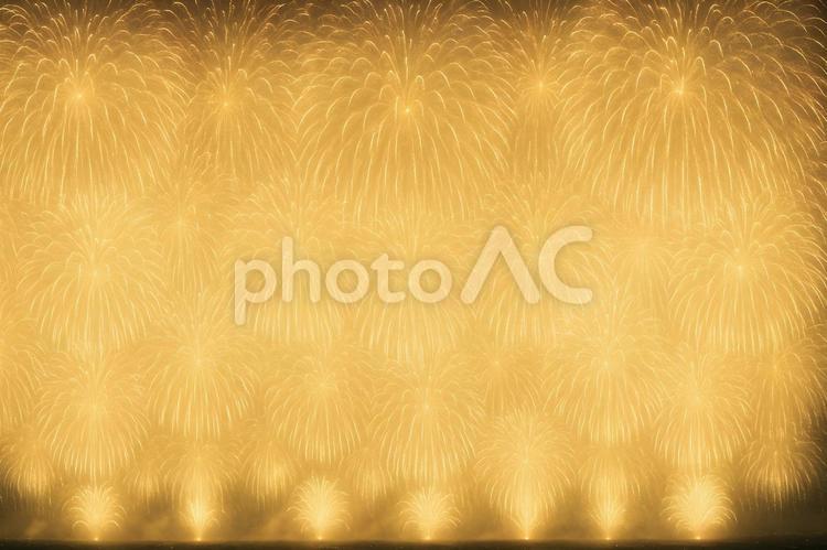 黄金の花火絨毯 花火,黄金,連続打ち上げの写真素材