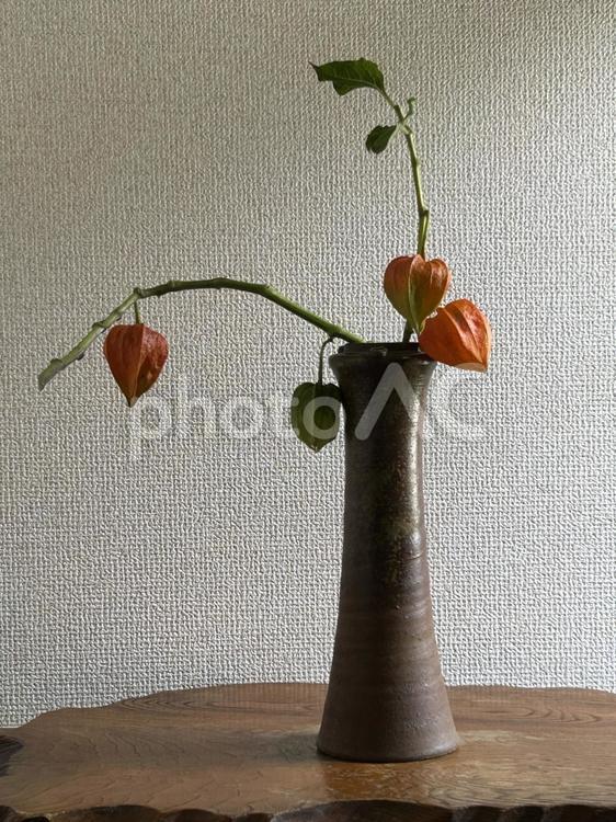 真夏の玄関を飾って 鬼灯,ほおずき,ホオズキの写真素材