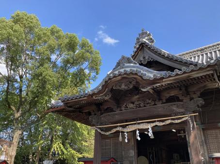 福島八幡宮・拝殿と楠 福島八幡宮・拝殿と楠 福島八幡宮,福岡県八女市,神社仏閣の写真素材