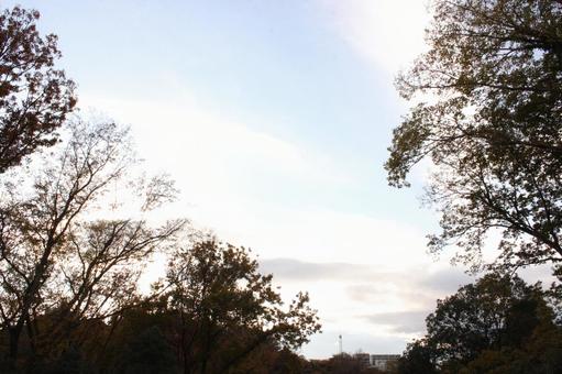 秋の公園の風景 秋の公園の風景の写真