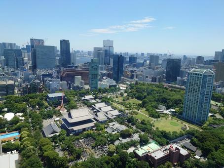 The view from Tokyo Tower, JPG The view from Tokyo Tower, JPG