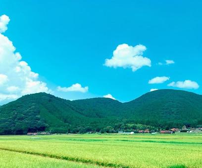 田舎の夏休み 田舎の夏休みの写真