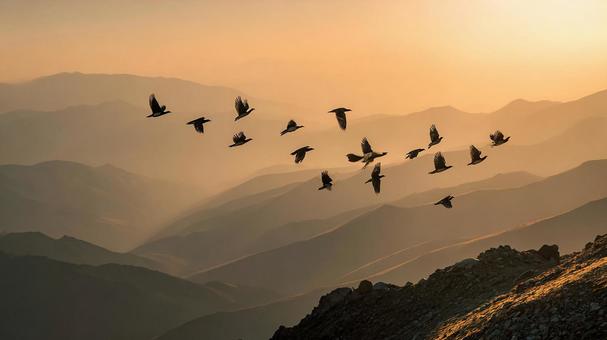 穏やかな朝の山々を舞う鳥の群れ 穏やかな朝の山々を舞う鳥の群れの写真