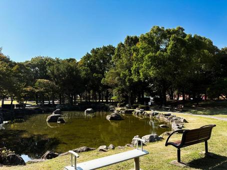 公園 公園,自然,japanの写真素材