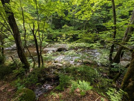 山間の 山間のの写真