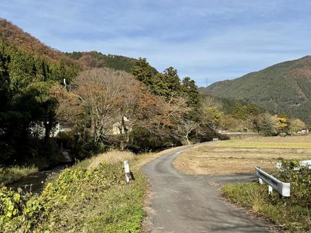 11月　秋の福井県坂井市山奥の景色 秋,ハイキング,山並みの写真素材