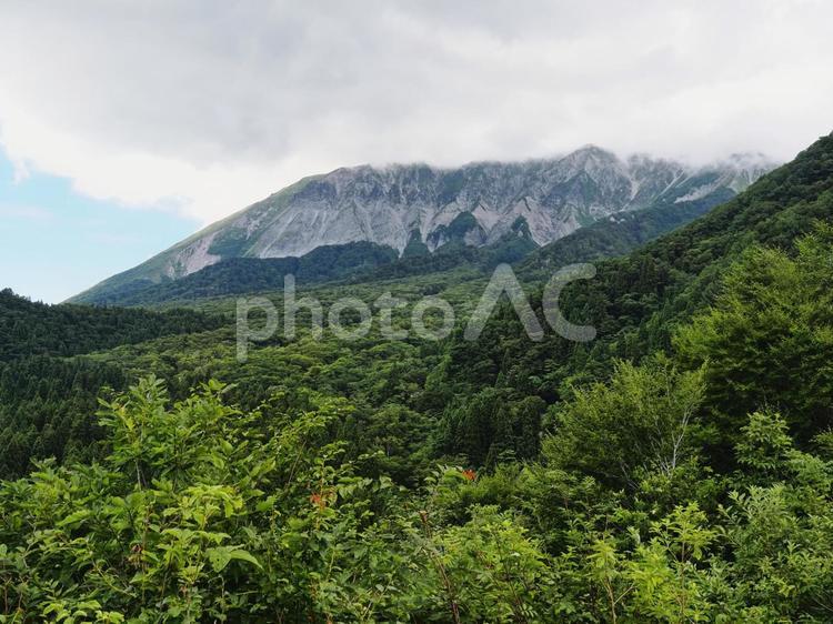 鍵掛峠から見る夏の大山南壁 大山,春の大山,烏ヶ山の写真素材