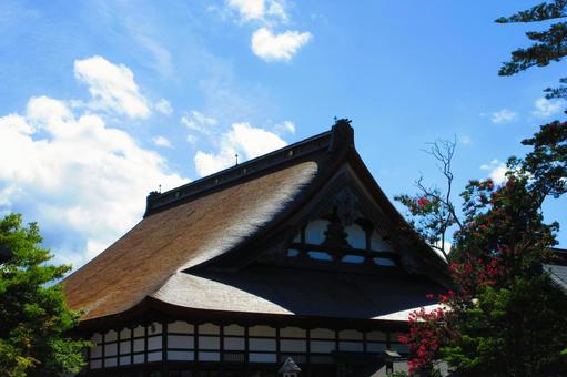 新潟県-浄興寺-本堂 新潟県-浄興寺-本堂の写真