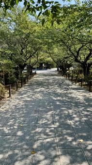 建長寺通路 建長寺通路の写真