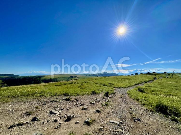 美しい夏の美ヶ原高原 美ヶ原高原,美ヶ原,長野県の写真素材