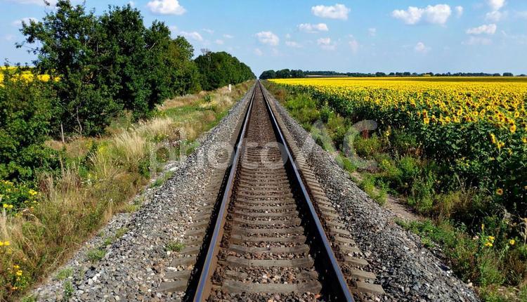 廃線　夏 線路,鉄道,廃線の写真素材