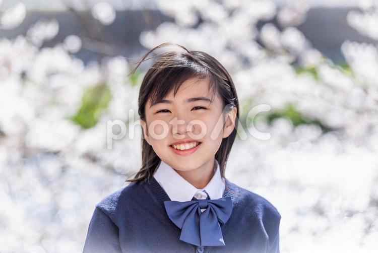 桜の下で微笑む女の子 女子学生,学生,制服の写真素材