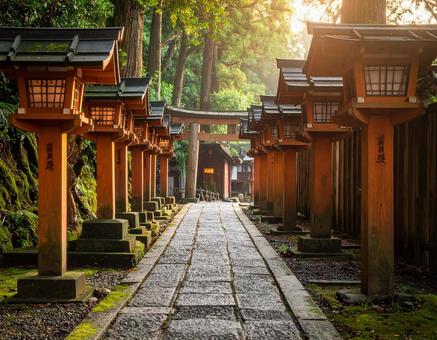 参道と鳥居 参道と鳥居の写真