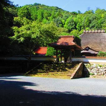 島根県-永明寺-本堂と中雀門 島根県-永明寺-本堂と中雀門の写真