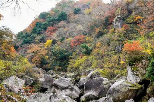 出雲神話の舞台、鬼の舌震の紅葉 出雲神話の舞台、鬼の舌震の紅葉 鬼の舌震,鬼舌振,奥出雲の写真素材