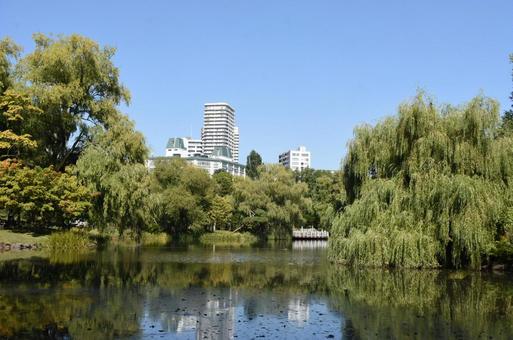 池と森林の写真