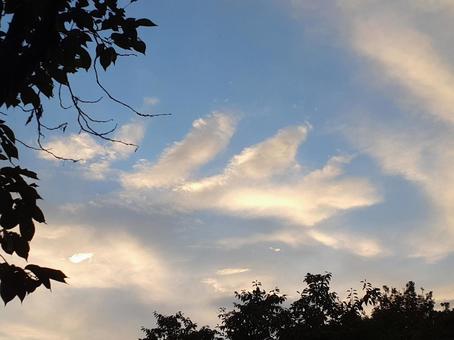 夏の夕空に雲 なにに見えるかな 夏の夕空に雲 なにに見えるかなの写真