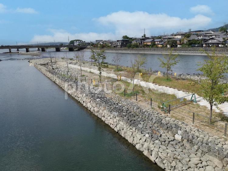京都　宇治平等院そばの宇治川と宇治橋 宇治川,宇治橋,宇治平等院の写真素材