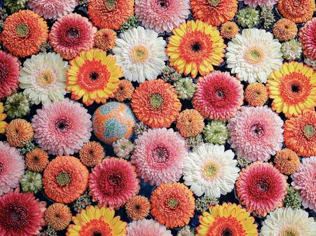 花手水⑤ 花手水,黄色,オレンジの写真素材