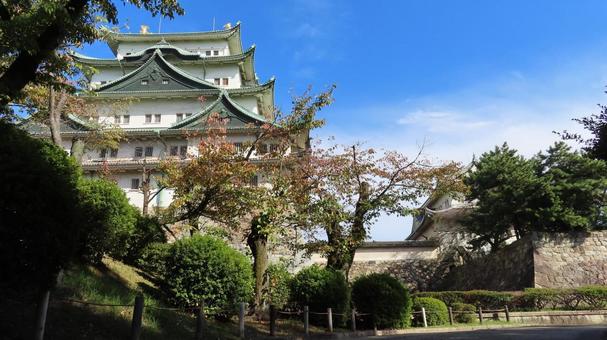 名古屋城　天守　大天守　小天守 名古屋城,尾張徳川家,御三家の写真素材