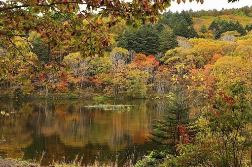飯綱高原小鳥ケ池 湖,風景,山の写真素材