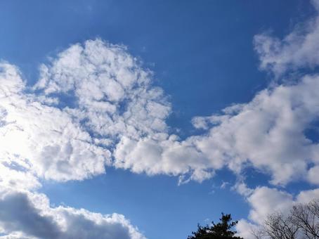 函館の青空 青空,晴天,雲の写真素材