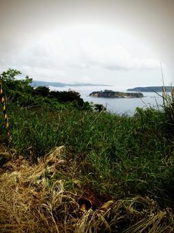 猫の島からの風景 石巻市,猫の島,風景の写真素材