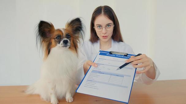 パピヨンと記入した用紙を差し出す女性 医療,予防,医者の写真素材