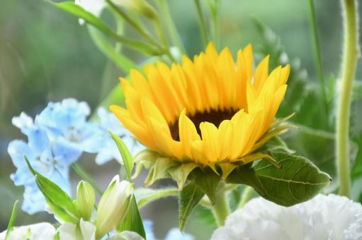 フラワーアレンジメント 1 フラワーアレンジメント 1 花,青い花,黄色い花の写真素材