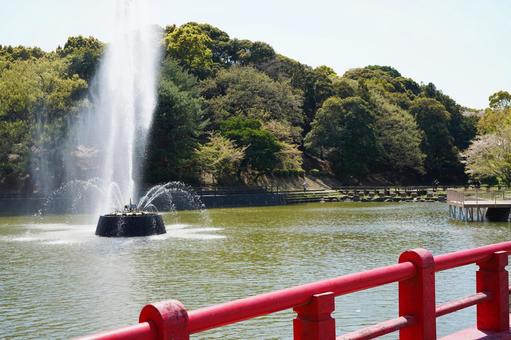 福岡 朝倉 甘木公園 吹き上げる噴水  福岡 朝倉 甘木公園 吹き上げる噴水  甘木公園,丸山公園,噴水の写真素材