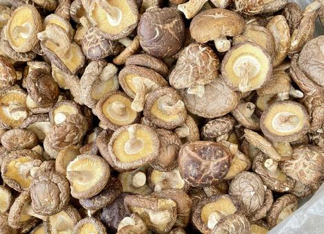 たくさんの干しシイタケの山　乾物 干しシイタケ,乾燥シイタケ,椎茸の写真素材