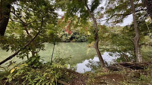 震生湖 震生湖,湖,池の写真素材